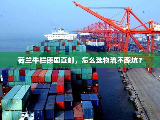 荷兰牛栏德国直邮，怎么选物流不踩坑？