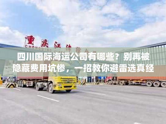 四川国际海运公司有哪些？别再被隐藏费用坑惨，一招教你避雷选真经