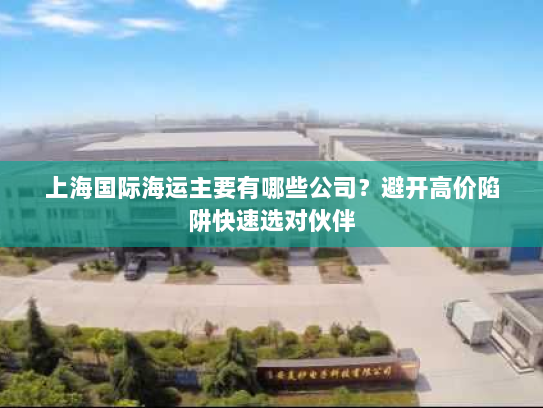 上海国际海运主要有哪些公司?避开高价陷阱快速选对伙伴 上海国际海运主要有哪些公司?避开高价陷阱快速选对伙伴