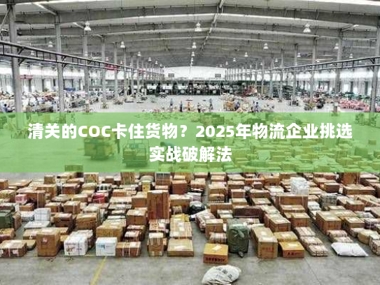 清关的COC卡住货物?2025年物流企业挑选实战破解法 清关的COC卡住货物?2025年物流企业挑选实战破解法