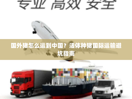 国外猪怎么运到中国?活体种猪国际运输避坑指南 国外猪怎么运到中国?活体种猪国际运输避坑指南