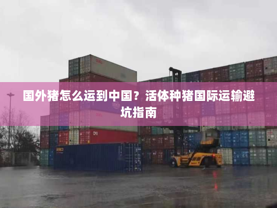 国外猪怎么运到中国?活体种猪国际运输避坑指南 国外猪怎么运到中国?活体种猪国际运输避坑指南