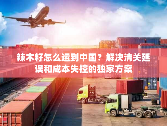 辣木籽怎么运到中国？解决清关延误和成本失控的独家方案