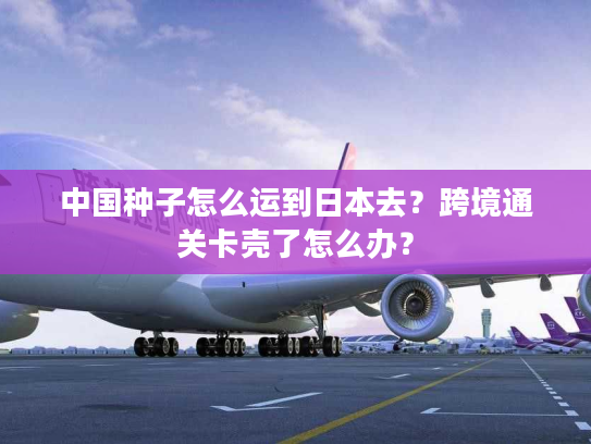 中国种子怎么运到日本去？跨境通关卡壳了怎么办？