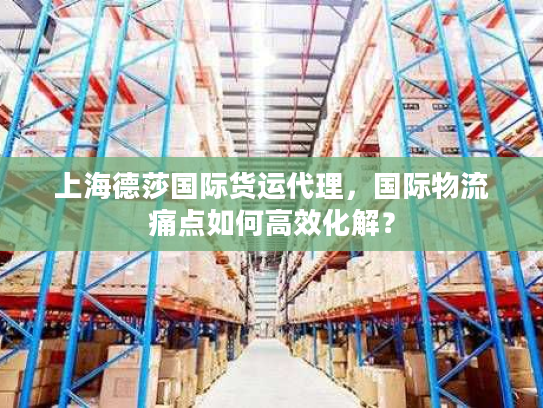 上海德莎国际货运代理,国际物流痛点如何高效化解? 上海德莎国际货运代理,国际物流痛点如何高效化解?