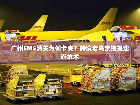广州EMS清关为何卡壳?跨境老鸟亲授提速避坑术 广州EMS清关为何卡壳?跨境老鸟亲授提速避坑术