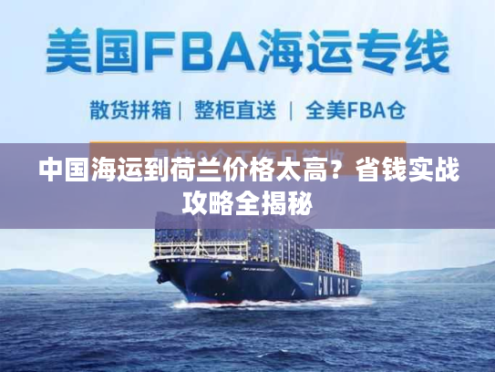 中国海运到荷兰价格太高？省钱实战攻略全揭秘