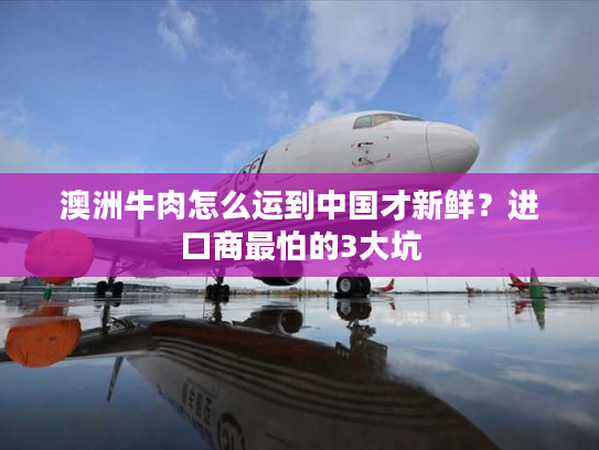 澳洲牛肉怎么运到中国才新鲜？进口商最怕的3大坑