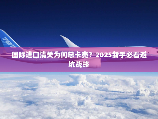 国际进口清关为何总卡壳？2025新手必看避坑战略