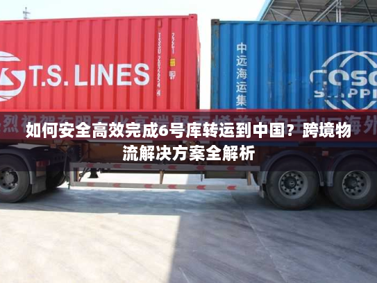 如何安全高效完成6号库转运到中国?跨境物流解决方案全解析 如何安全高效完成6号库转运到中国?跨境物流解决方案全解析