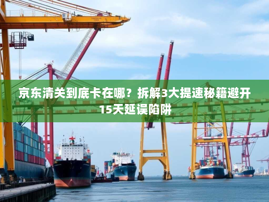 京东清关到底卡在哪?拆解3大提速秘籍避开15天延误陷阱 京东清关到底卡在哪?拆解3大提速秘籍避开15天延误陷阱