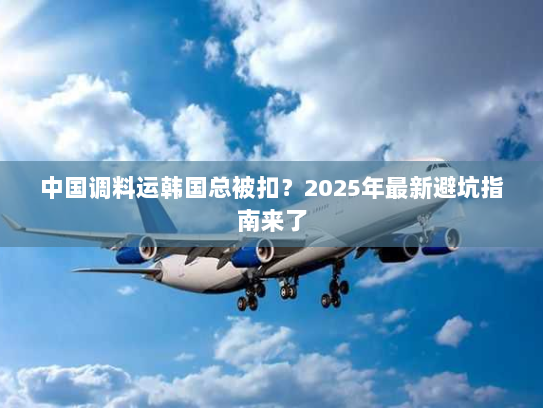 中国调料运韩国总被扣?2025年最新避坑指南来了 中国调料运韩国总被扣?2025年最新避坑指南来了