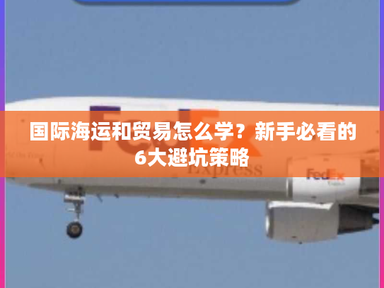 国际海运和贸易怎么学？新手必看的6大避坑策略