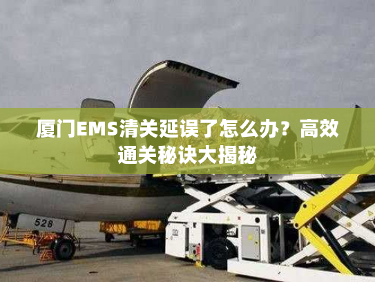 厦门EMS清关延误了怎么办？高效通关秘诀大揭秘