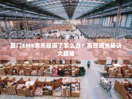厦门EMS清关延误了怎么办?高效通关秘诀大揭秘 厦门EMS清关延误了怎么办?高效通关秘诀大揭秘
