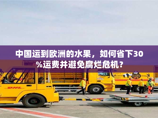 中国运到欧洲的水果，如何省下30%运费并避免腐烂危机？