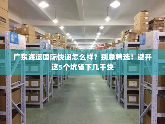 广东海运国际快递怎么样?别急着选!避开这5个坑省下几千块 广东海运国际快递怎么样?别急着选!避开这5个坑省下几千块