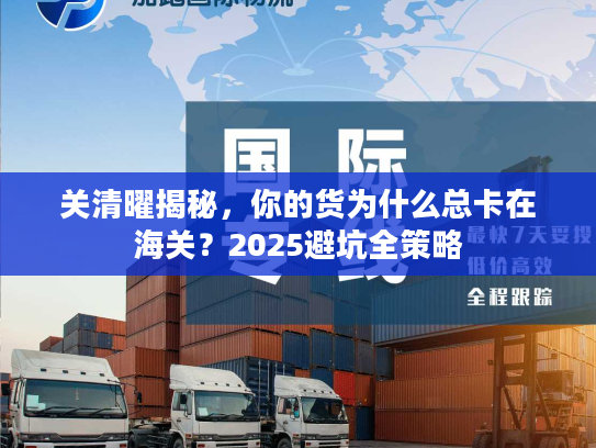 关清曜揭秘，你的货为什么总卡在海关？2025避坑全策略