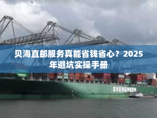 贝海直邮服务真能省钱省心？2025年避坑实操手册
