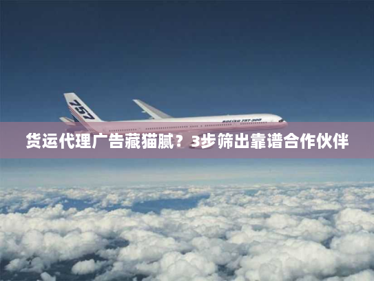 货运代理广告藏猫腻?3步筛出靠谱合作伙伴 货运代理广告藏猫腻?3步筛出靠谱合作伙伴