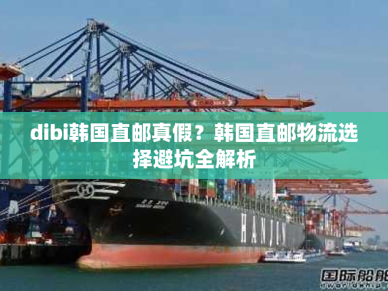 dibi韩国直邮真假？韩国直邮物流选择避坑全解析