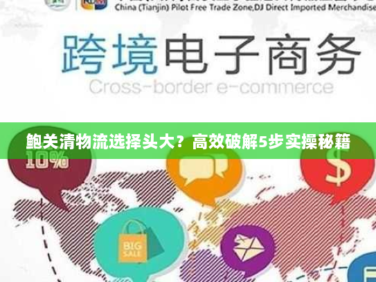 鲍关清物流选择头大？高效破解5步实操秘籍