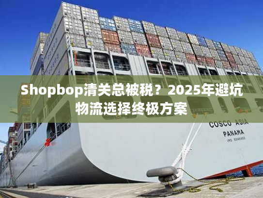 Shopbop清关总被税？2025年避坑物流选择终极方案