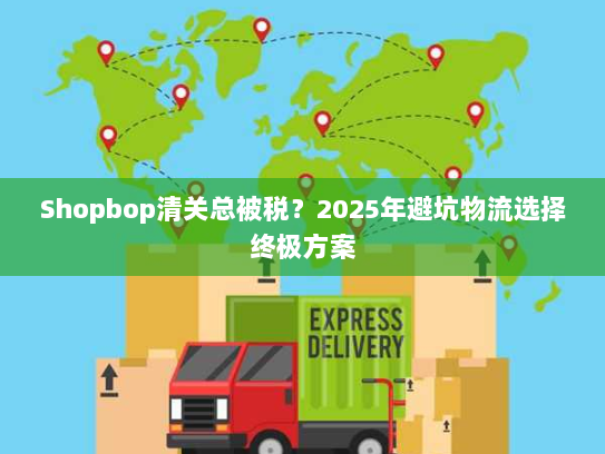 Shopbop清关总被税？2025年避坑物流选择终极方案