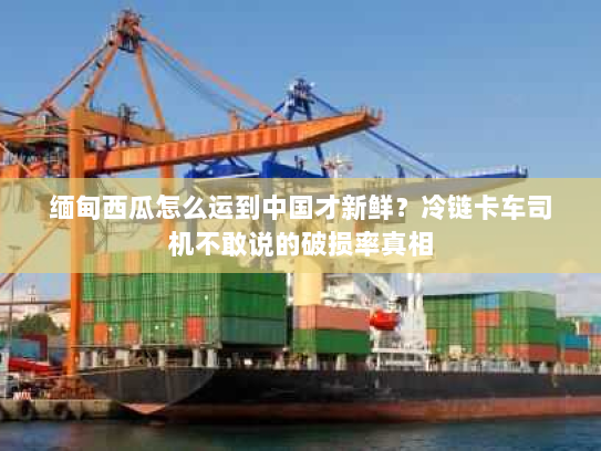 缅甸西瓜怎么运到中国才新鲜？冷链卡车司机不敢说的破损率真相