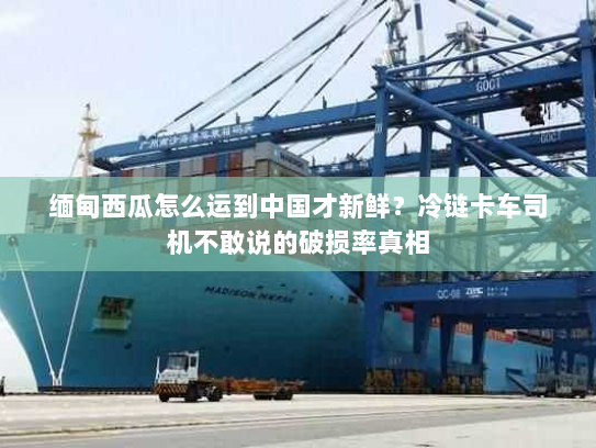 缅甸西瓜怎么运到中国才新鲜？冷链卡车司机不敢说的破损率真相