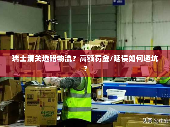 瑞士清关选错物流?高额罚金/延误如何避坑? 瑞士清关选错物流?高额罚金/延误如何避坑?