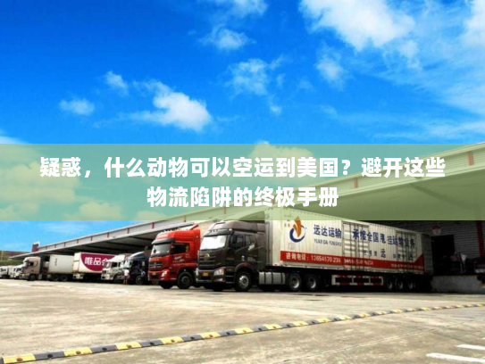疑惑,什么动物可以空运到美国?避开这些物流陷阱的终极手册 疑惑,什么动物可以空运到美国?避开这些物流陷阱的终极手册