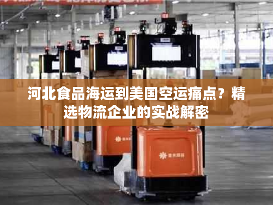 河北食品海运到美国空运痛点？精选物流企业的实战解密