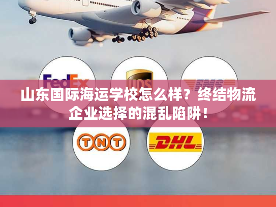山东国际海运学校怎么样？终结物流企业选择的混乱陷阱！