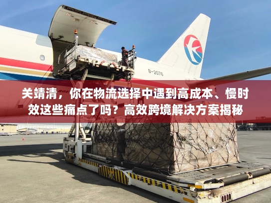 关靖清,你在物流选择中遇到高成本、慢时效这些痛点了吗?高效跨境解决方案揭秘 关靖清,你在物流选择中遇到高成本、慢时效这些痛点了吗?高效跨境解决方案揭秘