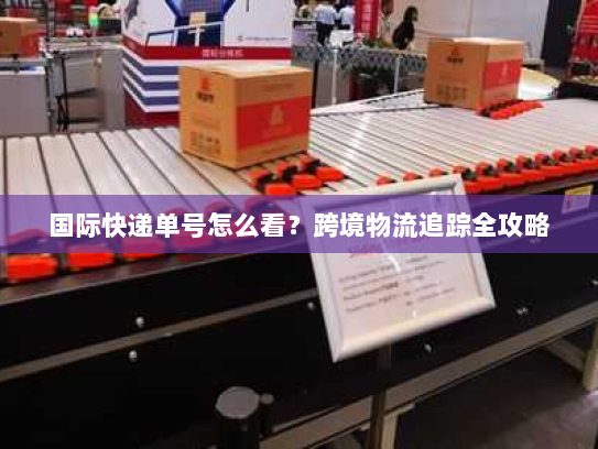 国际快递单号怎么看?跨境物流追踪全攻略 国际快递单号怎么看?跨境物流追踪全攻略