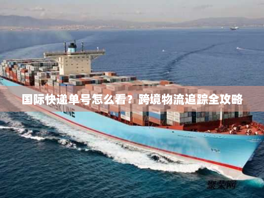 国际快递单号怎么看?跨境物流追踪全攻略 国际快递单号怎么看?跨境物流追踪全攻略