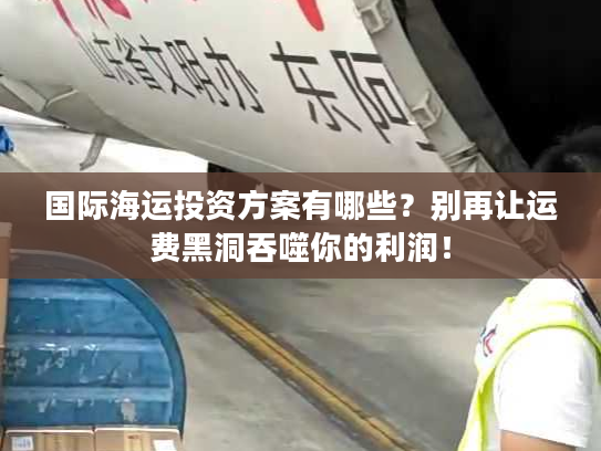 国际海运投资方案有哪些？别再让运费黑洞吞噬你的利润！