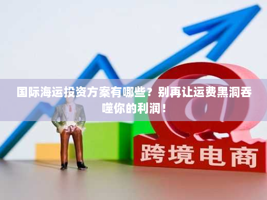 国际海运投资方案有哪些？别再让运费黑洞吞噬你的利润！