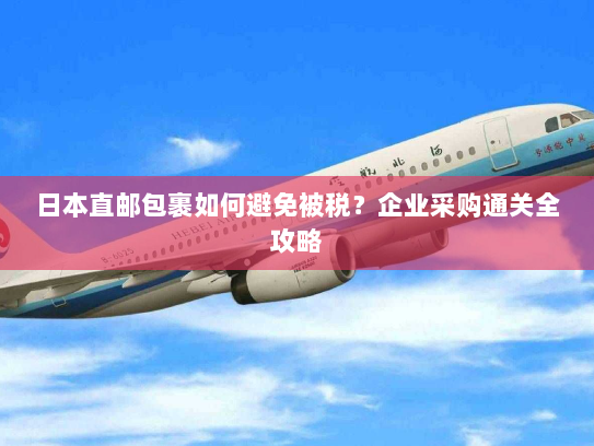 日本直邮包裹如何避免被税?企业采购通关全攻略 日本直邮包裹如何避免被税?企业采购通关全攻略