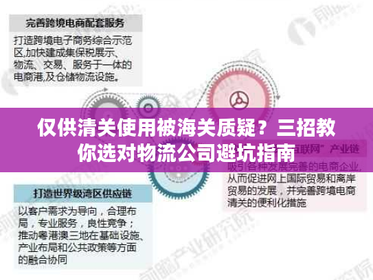 仅供清关使用被海关质疑?三招教你选对物流公司避坑指南 仅供清关使用被海关质疑?三招教你选对物流公司避坑指南