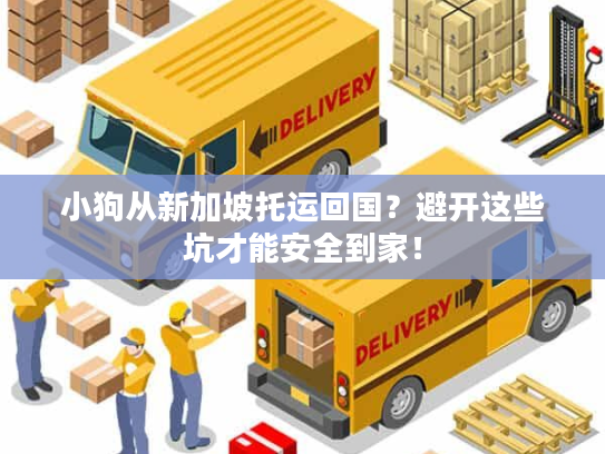 小狗从新加坡托运回国？避开这些坑才能安全到家！