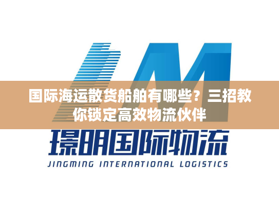 国际海运散货船舶有哪些？三招教你锁定高效物流伙伴
