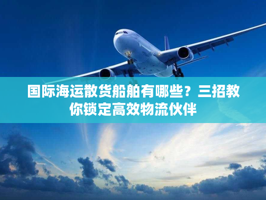 国际海运散货船舶有哪些？三招教你锁定高效物流伙伴