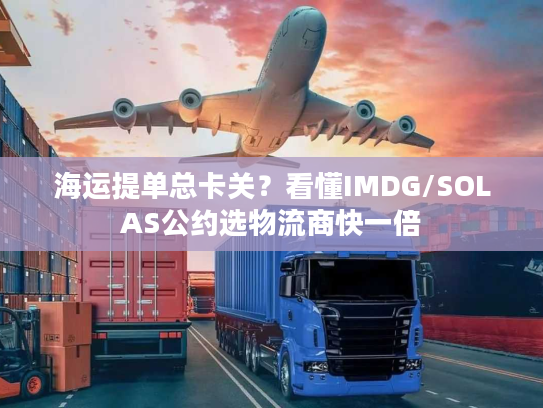 海运提单总卡关？看懂IMDG/SOLAS公约选物流商快一倍