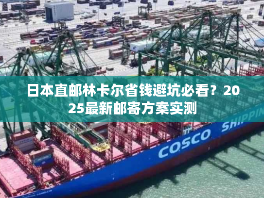 日本直邮林卡尔省钱避坑必看？2025最新邮寄方案实测