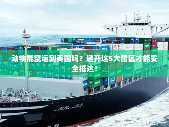 动物能空运到美国吗?避开这5大雷区才能安全抵达! 动物能空运到美国吗?避开这5大雷区才能安全抵达!