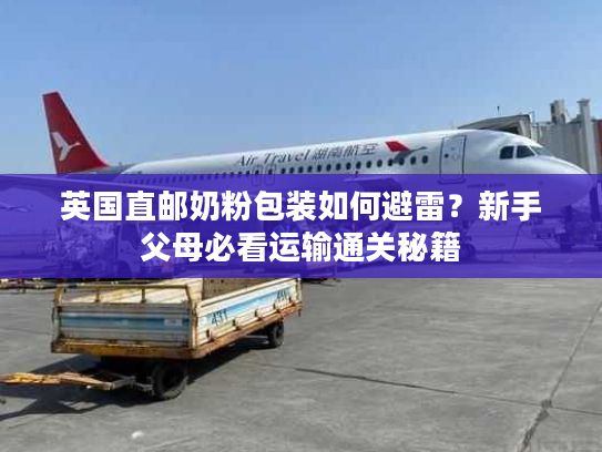 英国直邮奶粉包装如何避雷?新手父母必看运输通关秘籍 英国直邮奶粉包装如何避雷?新手父母必看运输通关秘籍