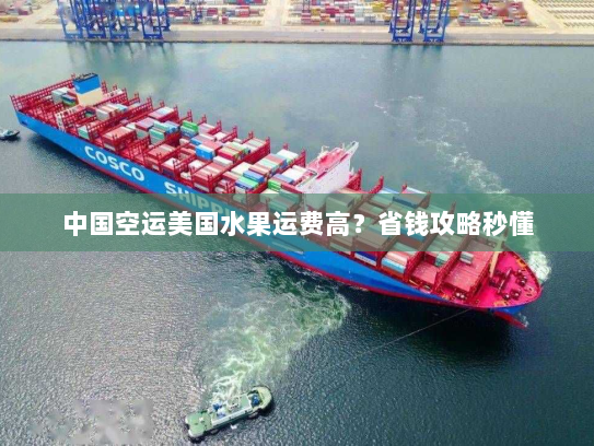 中国空运美国水果运费高？省钱攻略秒懂