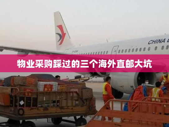 物业采购踩过的三个海外直邮大坑 物业采购踩过的三个海外直邮大坑